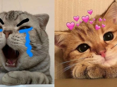 Meme nhăn mặt: Biểu tượng cảm xúc bực bội và hài hước