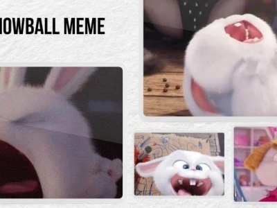 Tổng hợp 88+ Ảnh Thỏ Snowball Avatar Đáng Yêu và Meme Hài Hước Nhất 2026